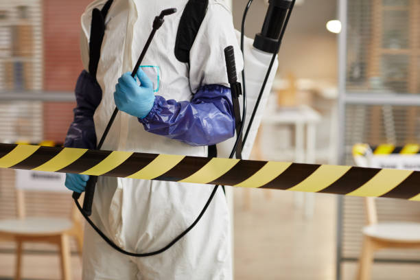 Professional Sewage Cleanup technician working in Prairie Lea, TX